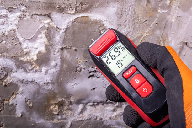 Best Fast Mold Removal  in Richwood, OH