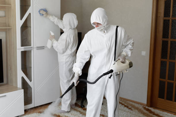 Best Mold Removal and Inspection  in Richwood, OH