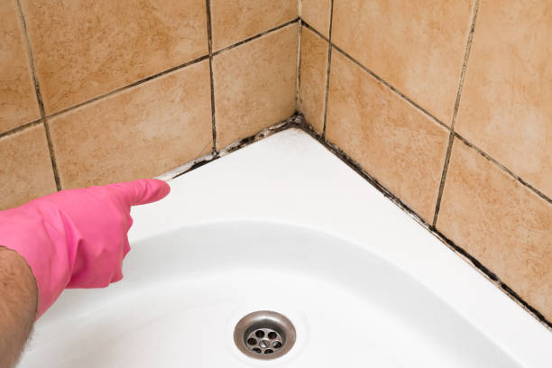 Best Residential Mold Removal  in Richwood, OH